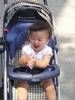 Filename=2P1010028-thumb.JPG
Filesize=16KiB
Dimensions=75x100
Date added=Dec 25, 2020 2P1010028-thumb.JPG